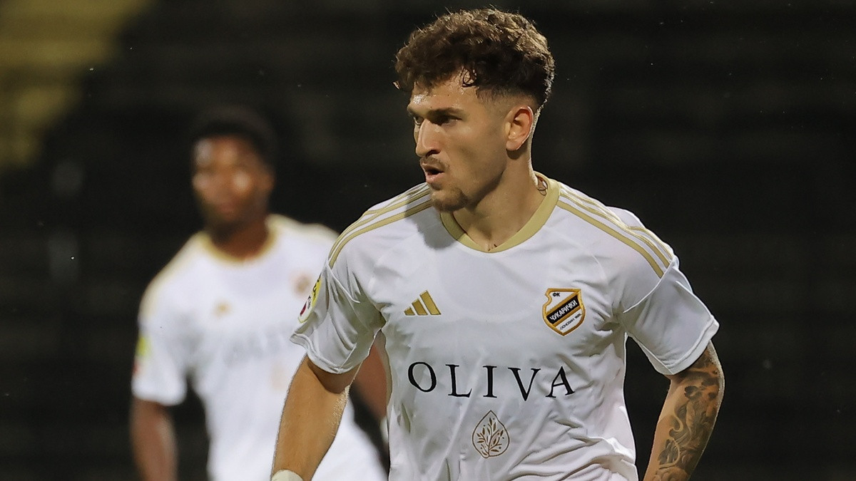 Čukarički ostao bez reprezentativca