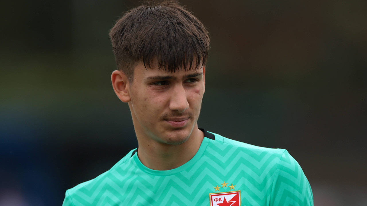 Klubovi u trci za Zvezdinog golmana