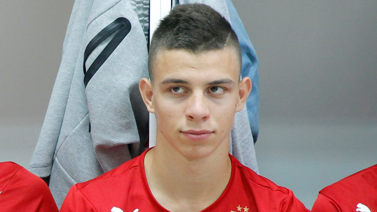 Odbačeni štenci ujedaju Zvezdu