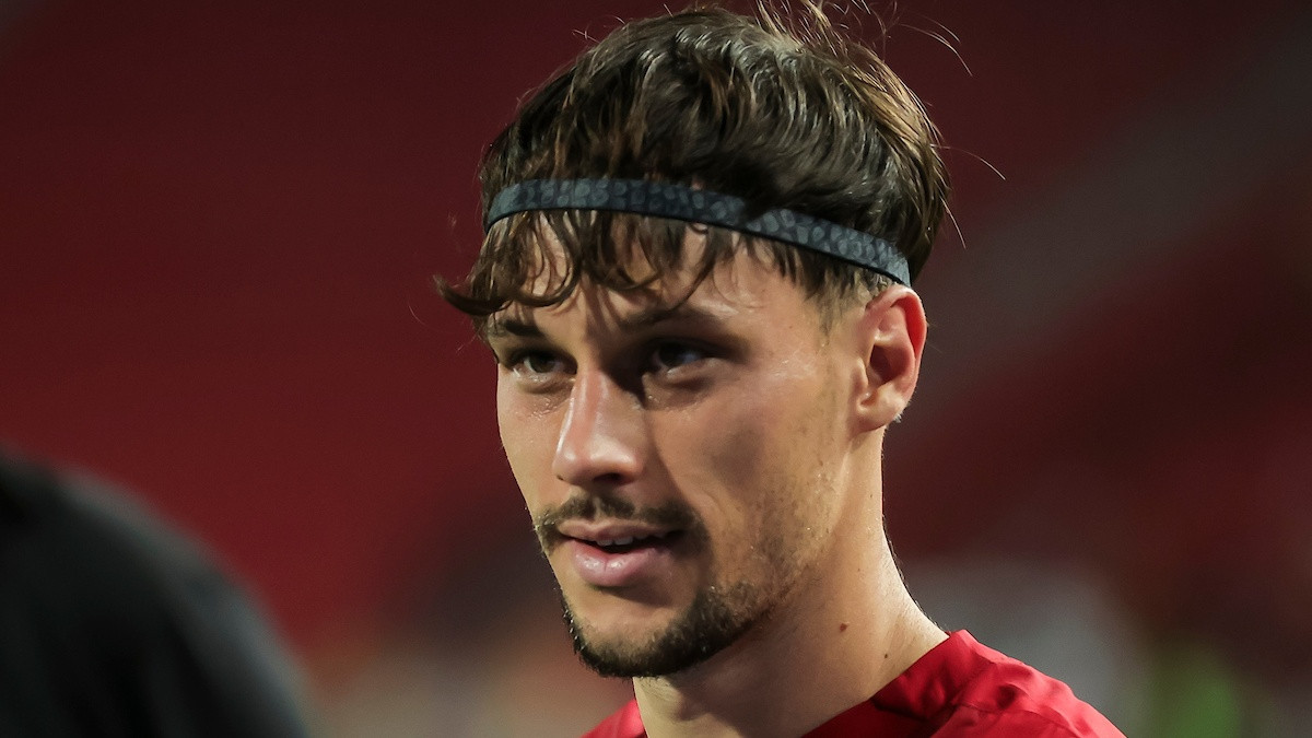 Ponovo se priča o Veljku Birmančeviću